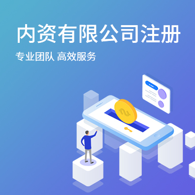 内资有限公司注册
