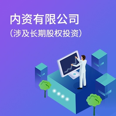 内资有限公司（涉及长期股权投资）