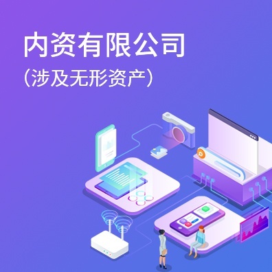 内资有限公司（涉及无形资产）