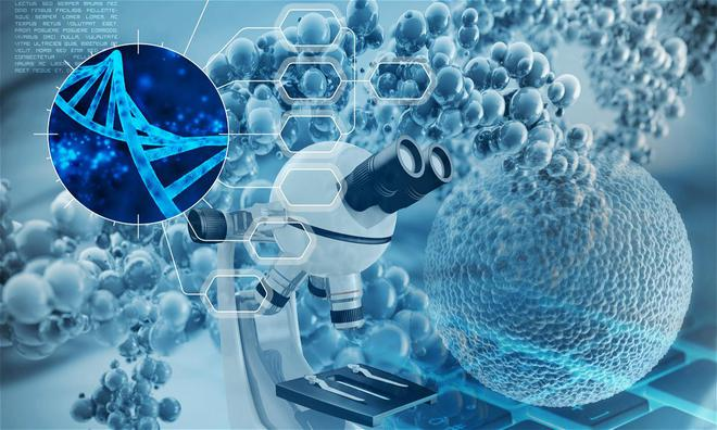 高新技术企业认证生物大分子类药物研发机遇与挑战