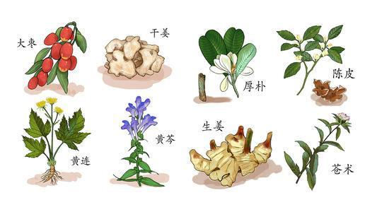 【高新技术企业认证】跻身中草药资源保护与生态文明建设最前沿