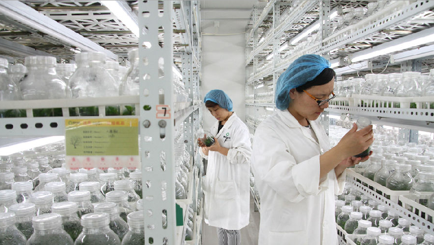 畜禽水产品种创制与健康养殖技术领域的高新技术企业有哪些？