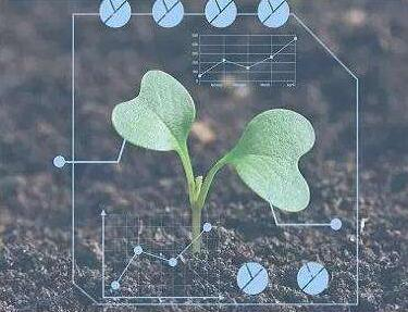 【高新技术企业】推动植物育种与生物技术创新
