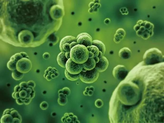 【高新技术企业资格认证】推动农林生物防控领域实现重大跨越