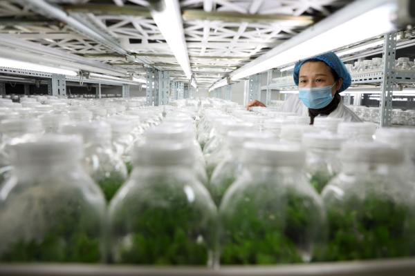 【高新技术企业】加快技术创新步伐，助力农林生物防控
