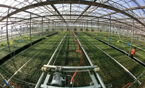 “生物-纳米复合土壤修复剂”获高新技术企业认证