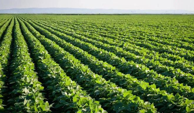 【高新技术企业认证】生物合成技术助力天然药物产业转型升级