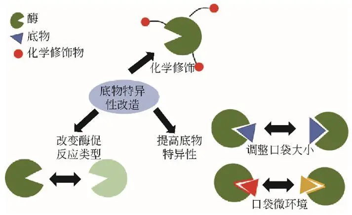 【高新技术企业】工业酶制备技术整体实力赶超世界先进行列