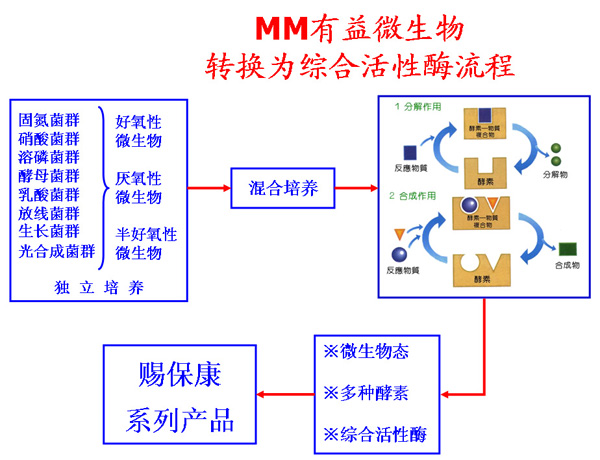 【高新技术企业认证服务】工业酶制备领域涌现出一批创新型企业