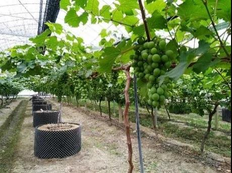 高新技术企业认证：为农业可持续发展提供有力支撑