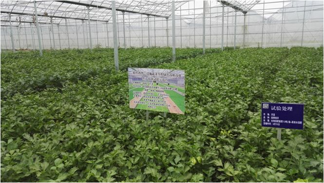 【关注】高新技术企业认证助推现代农业可持续发展